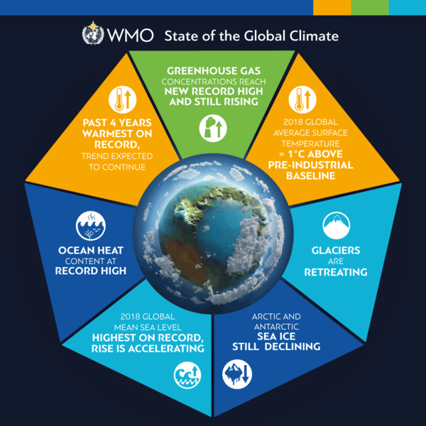 The State of The Climate in 2019 – WMO
