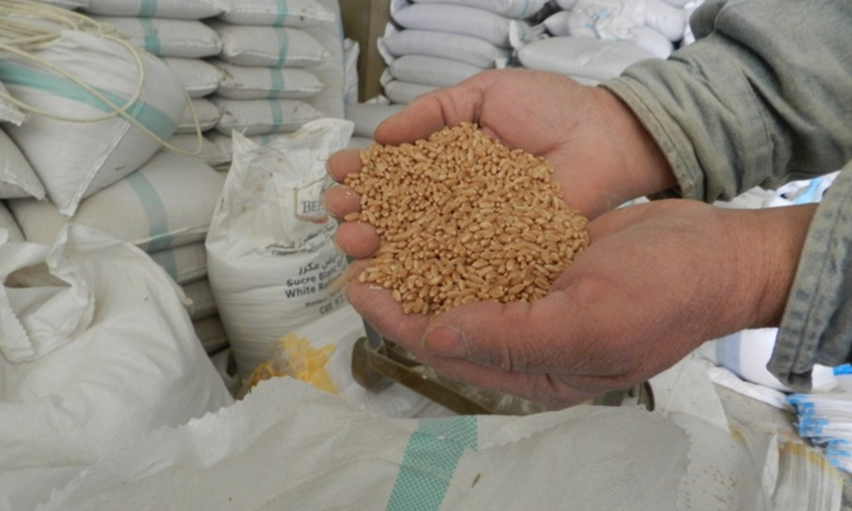 The Food Crisis: Wheat, Ukraine, and extreme weather
